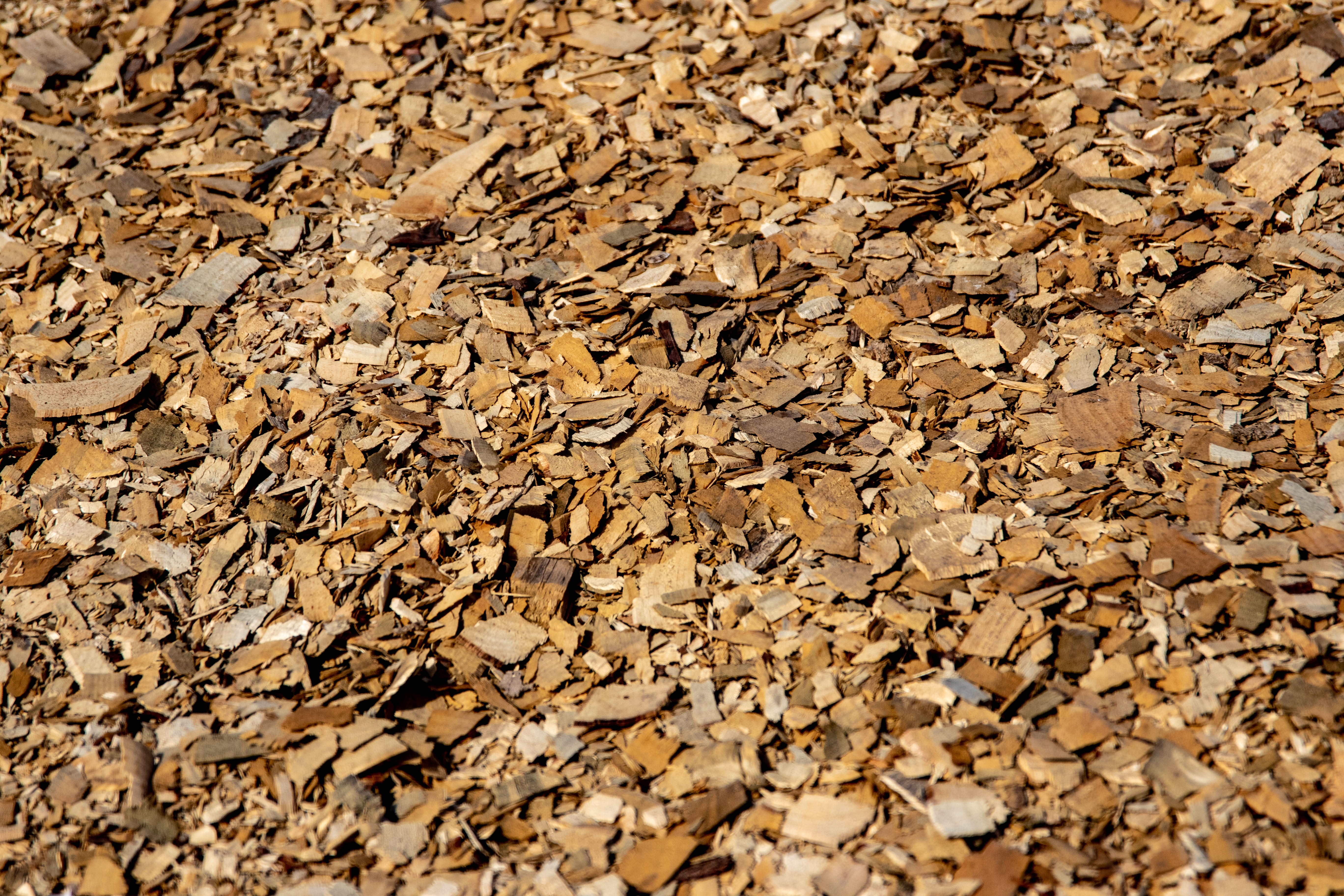 Biomasse als alternative Heizung