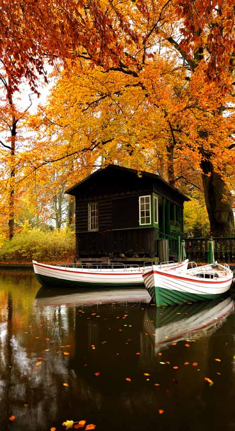 Bildmotiv für Infrarot Bildheizung: Herbsthütte