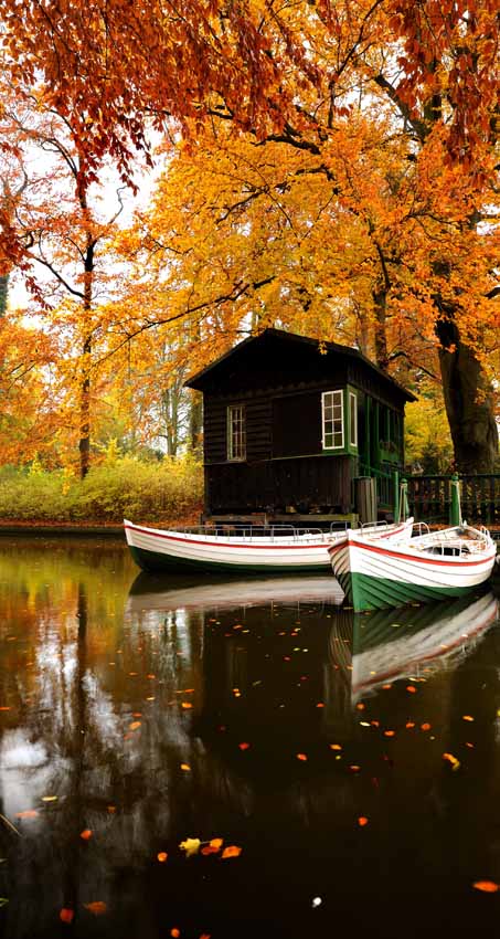 Bildmotiv für Infrarot Bildheizung: Herbsthütte